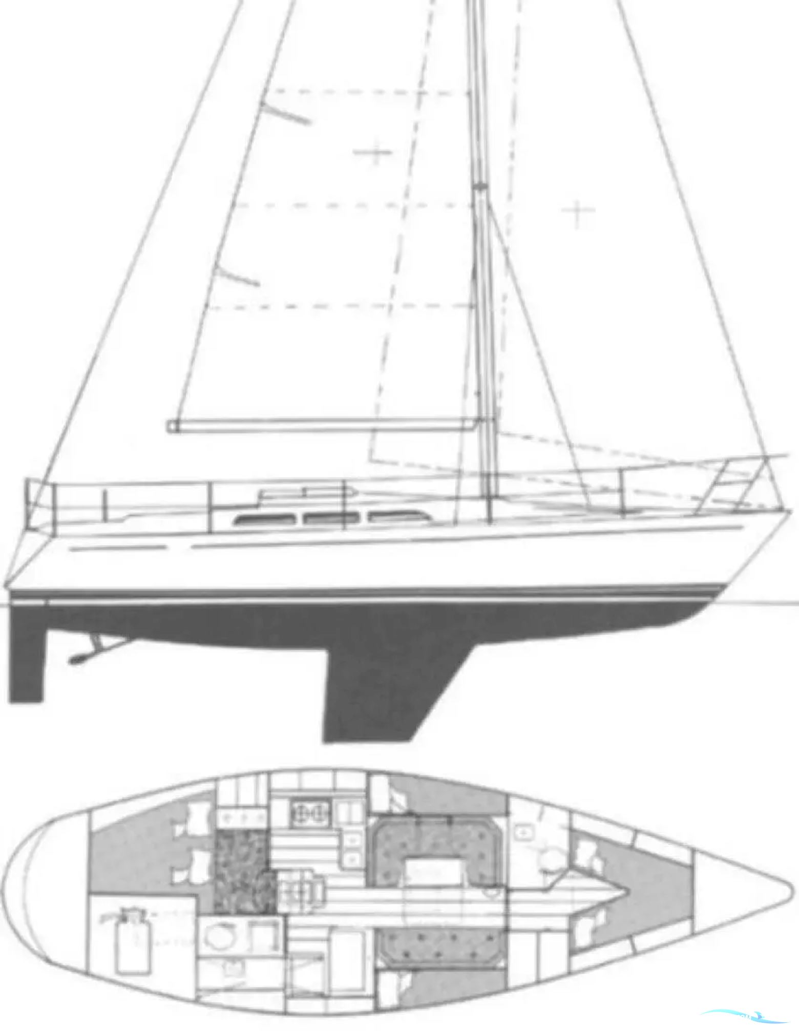 Sigma 41