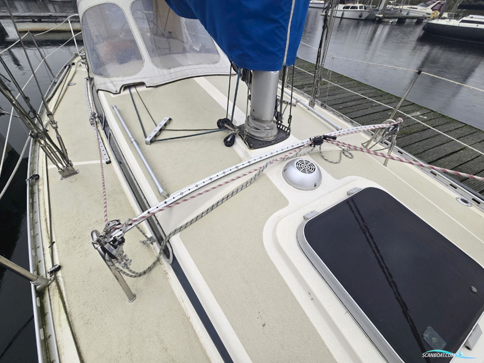 Sirena 38