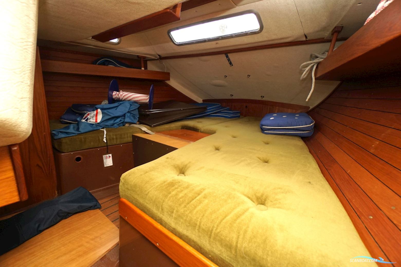 Sirena 38