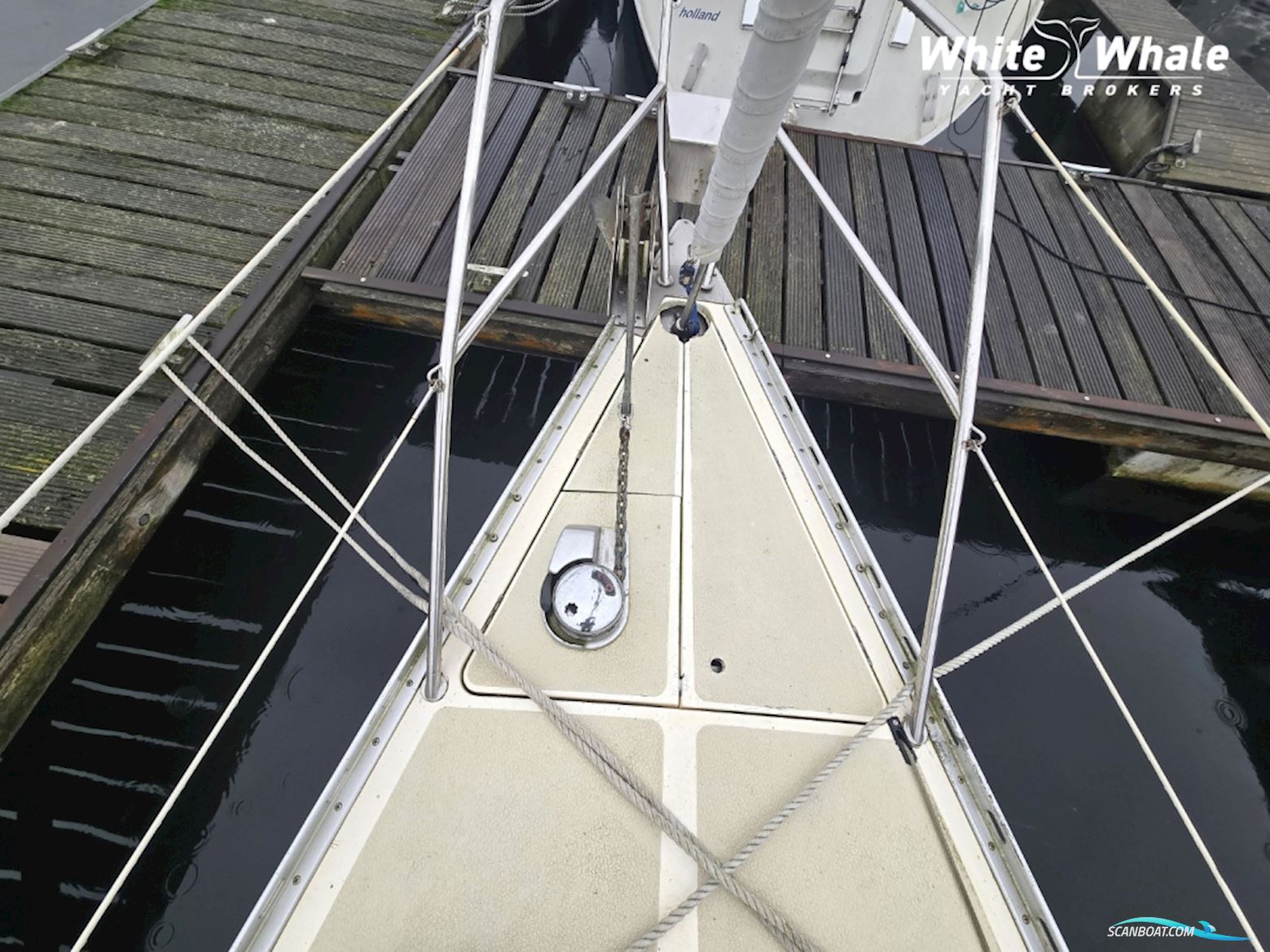 Sirena 38