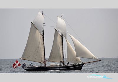 Skonnert Segelbåt 1884, med Vetus årgang 2019 motor, Danmark