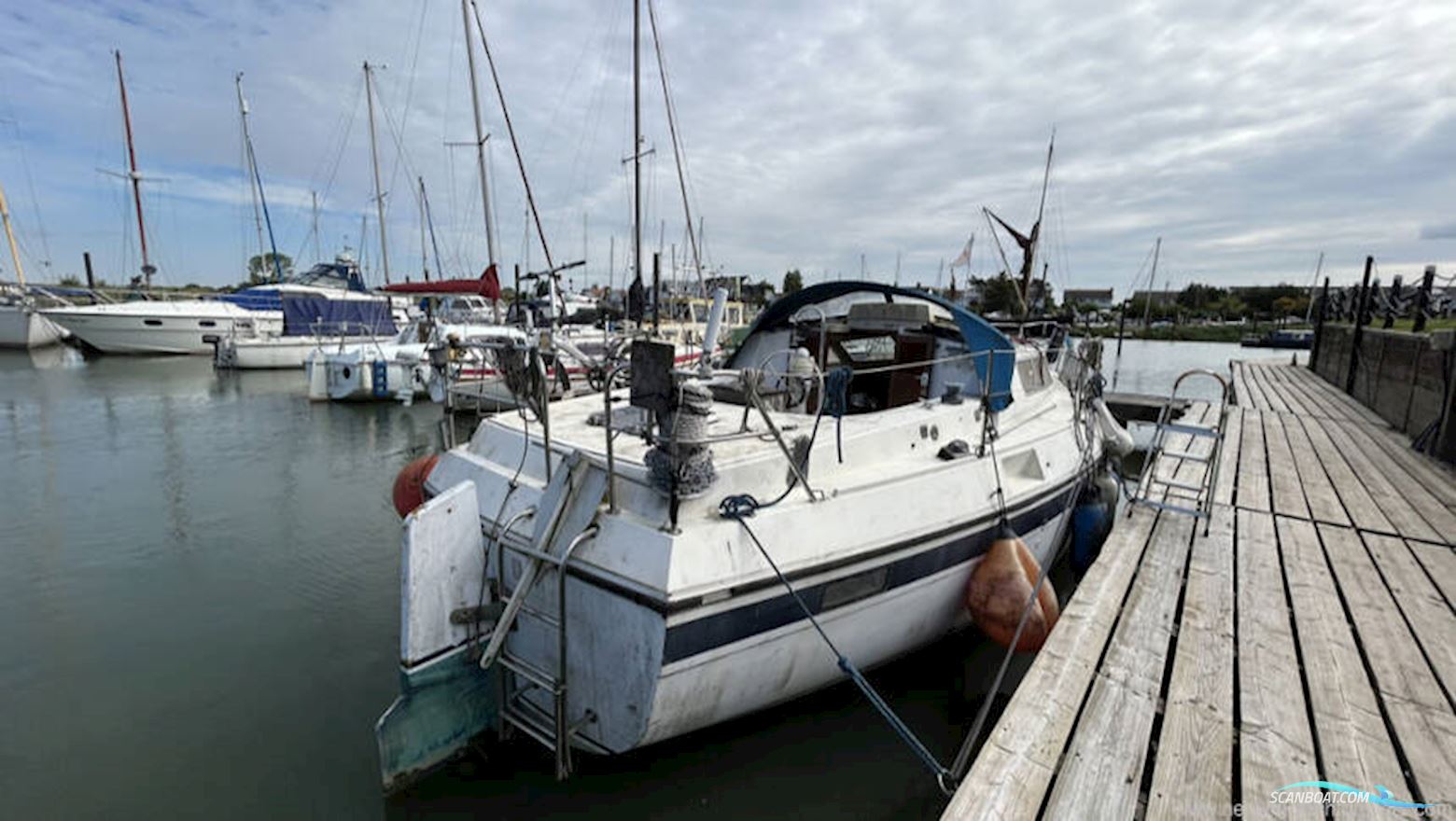 Southerly 105