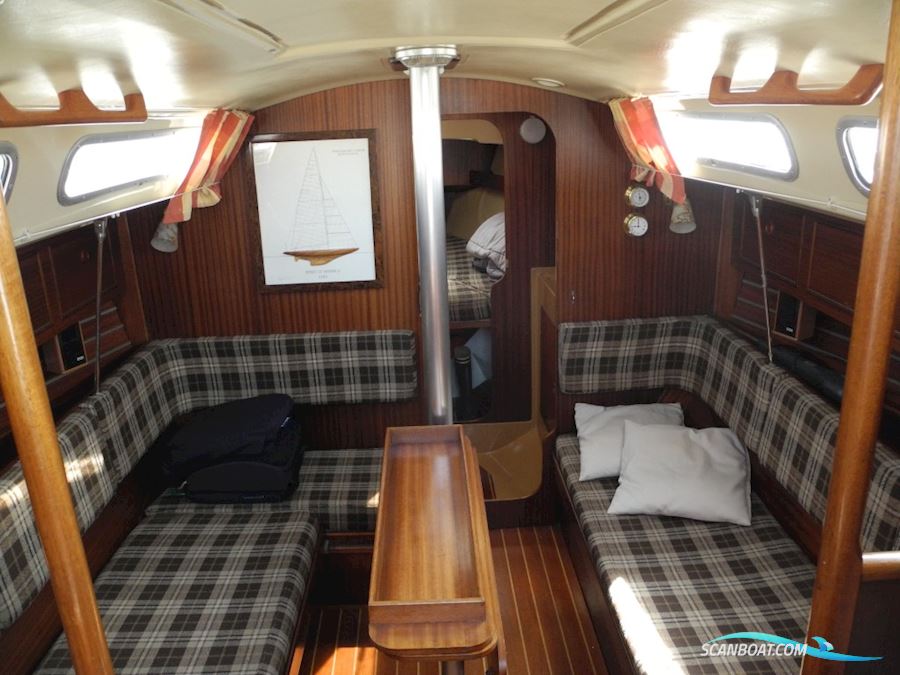 Spirit 29