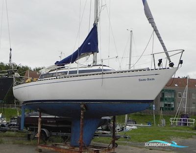 Standfast Loper 27 Segelbåt 1977, med Yanmar motor, Holland