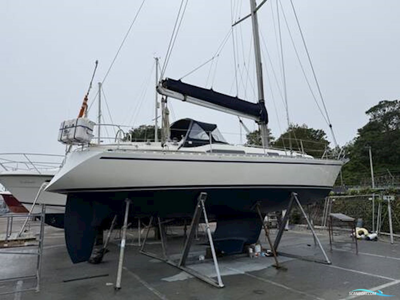 Starlight 39