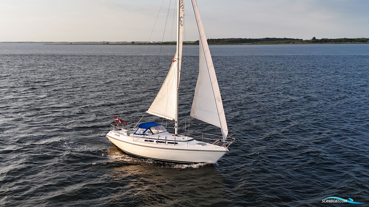 Storebro Royal 33 Segelbåt 1979, med Volvo Penta MD17C motor, Danmark