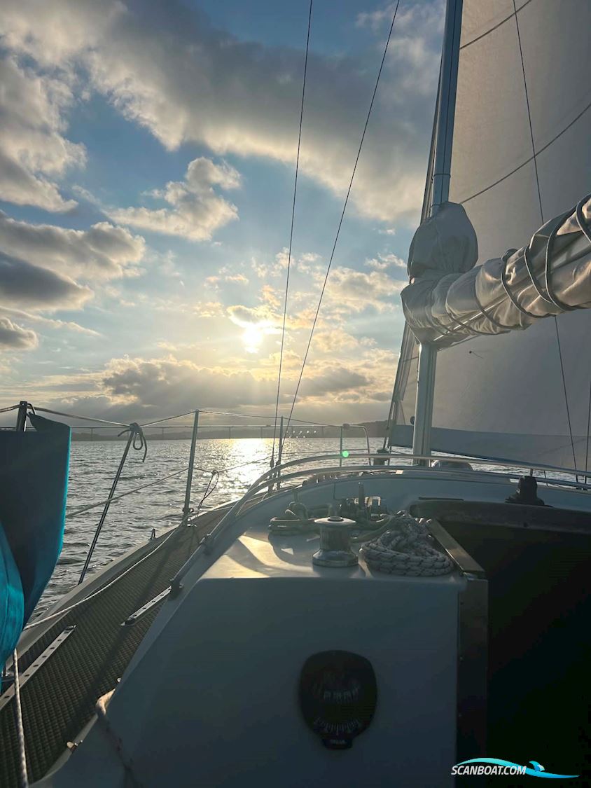 Sunwind 31