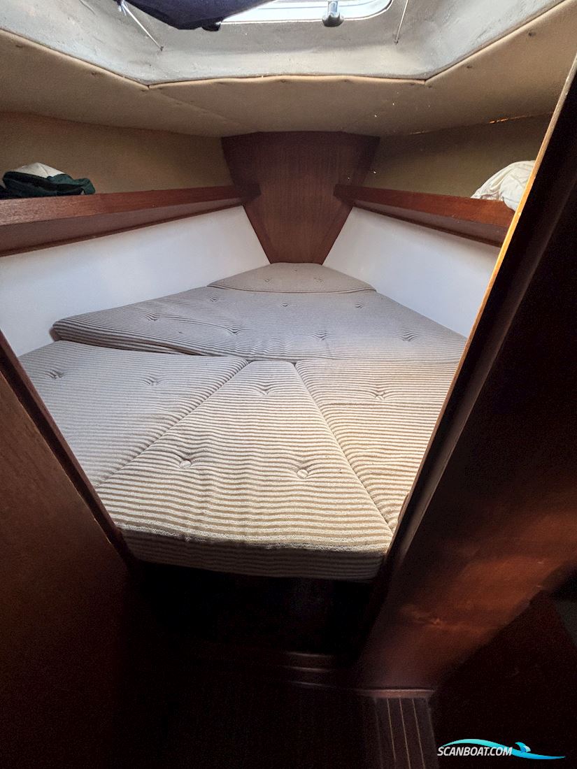 Sunwind 31