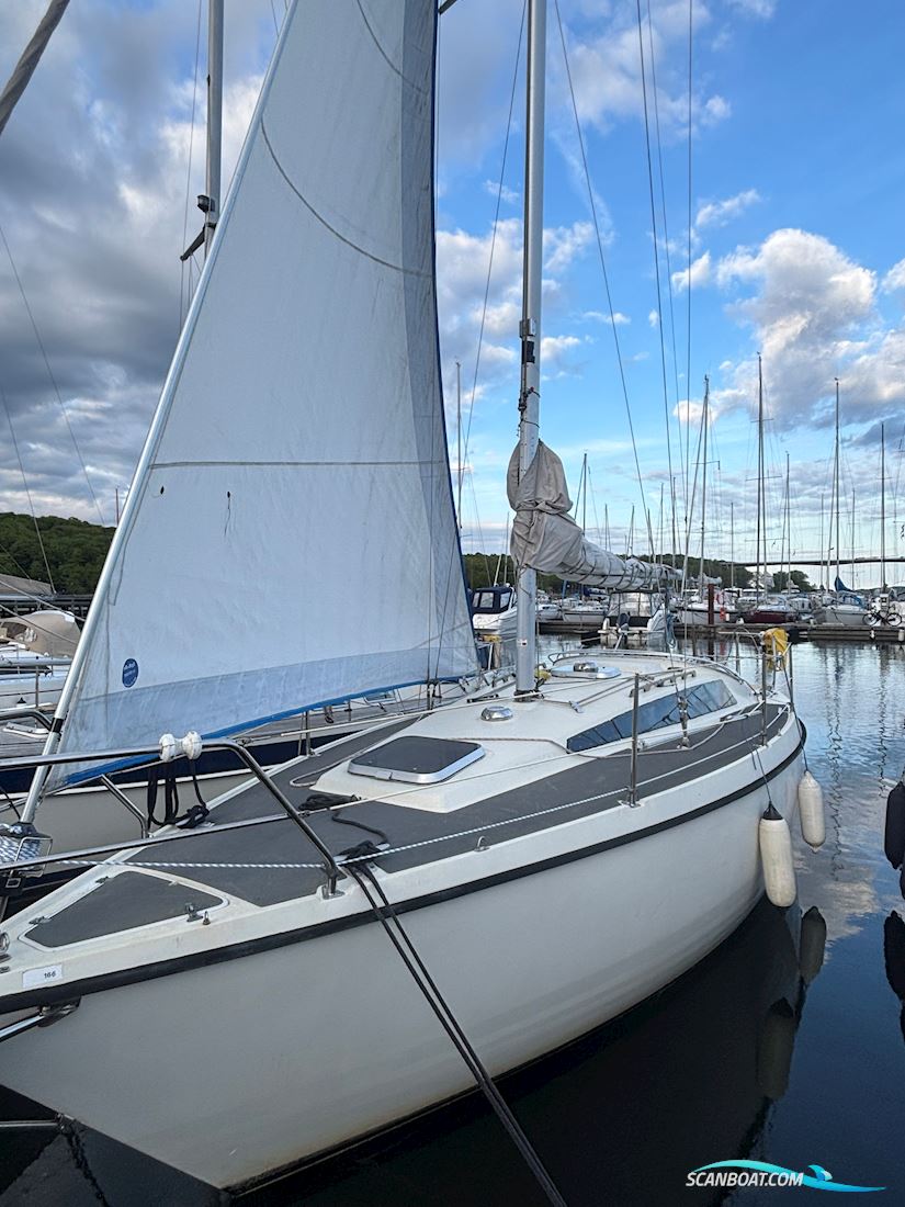 Sunwind 31 Segelbåt 1984, med Volvo Penta motor, Danmark