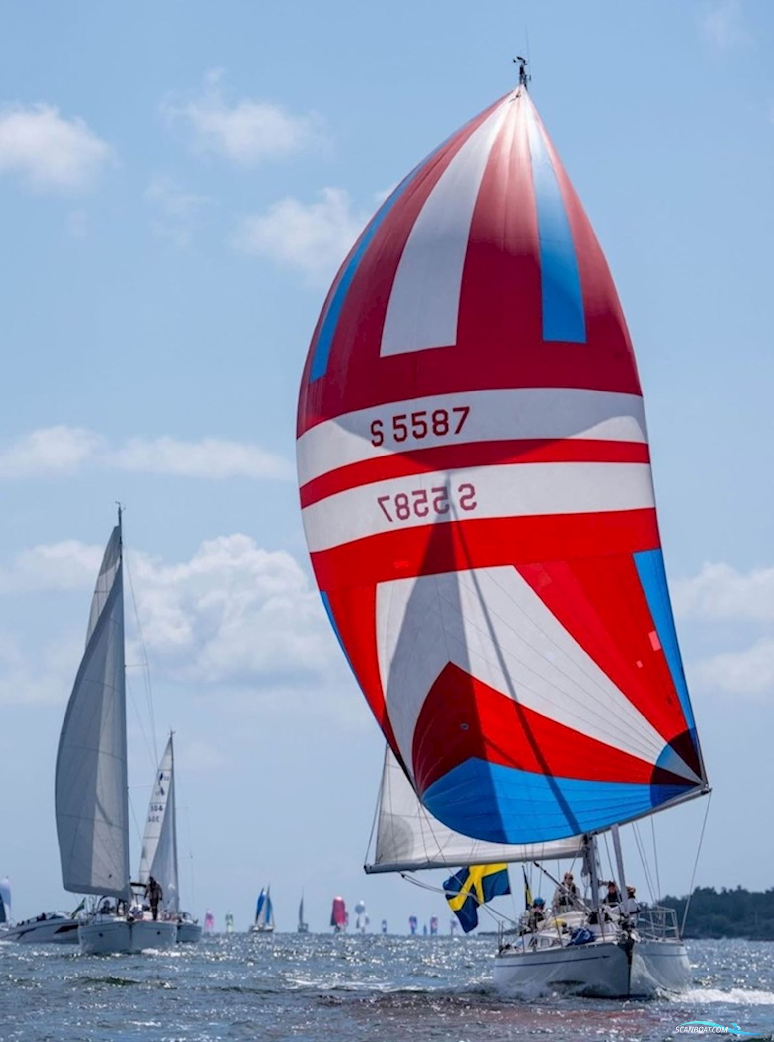Swan 38