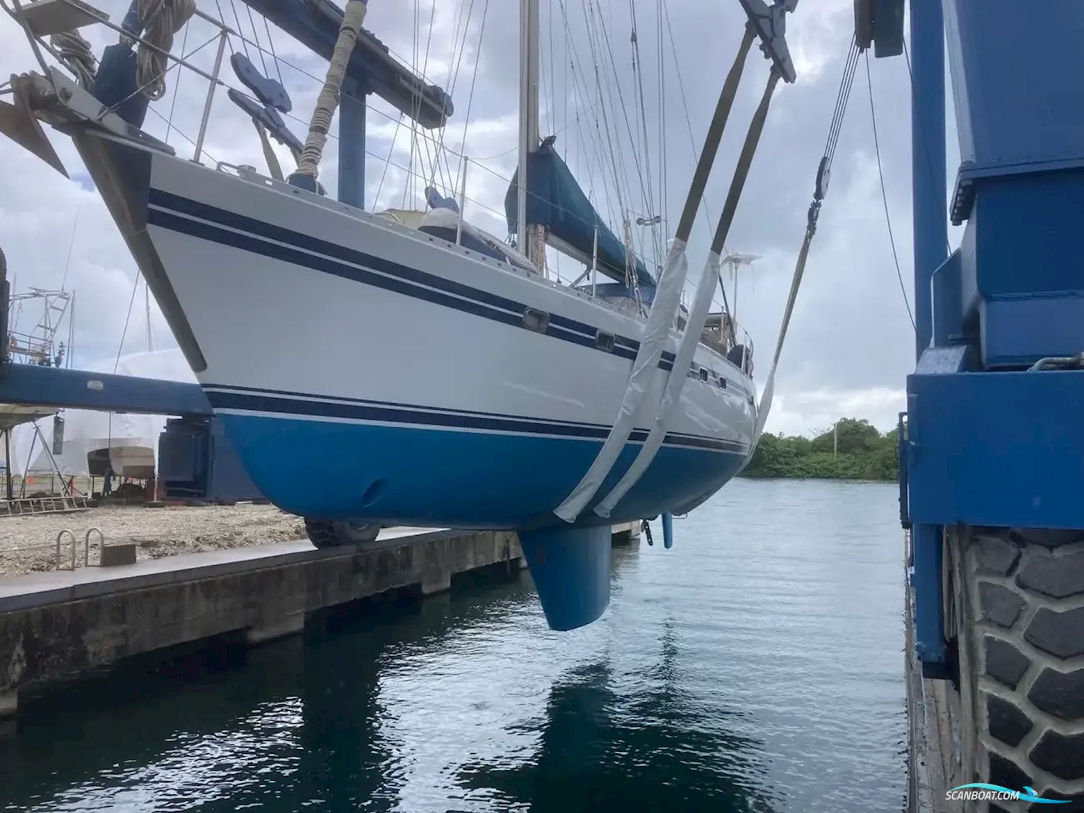 Tayana 55