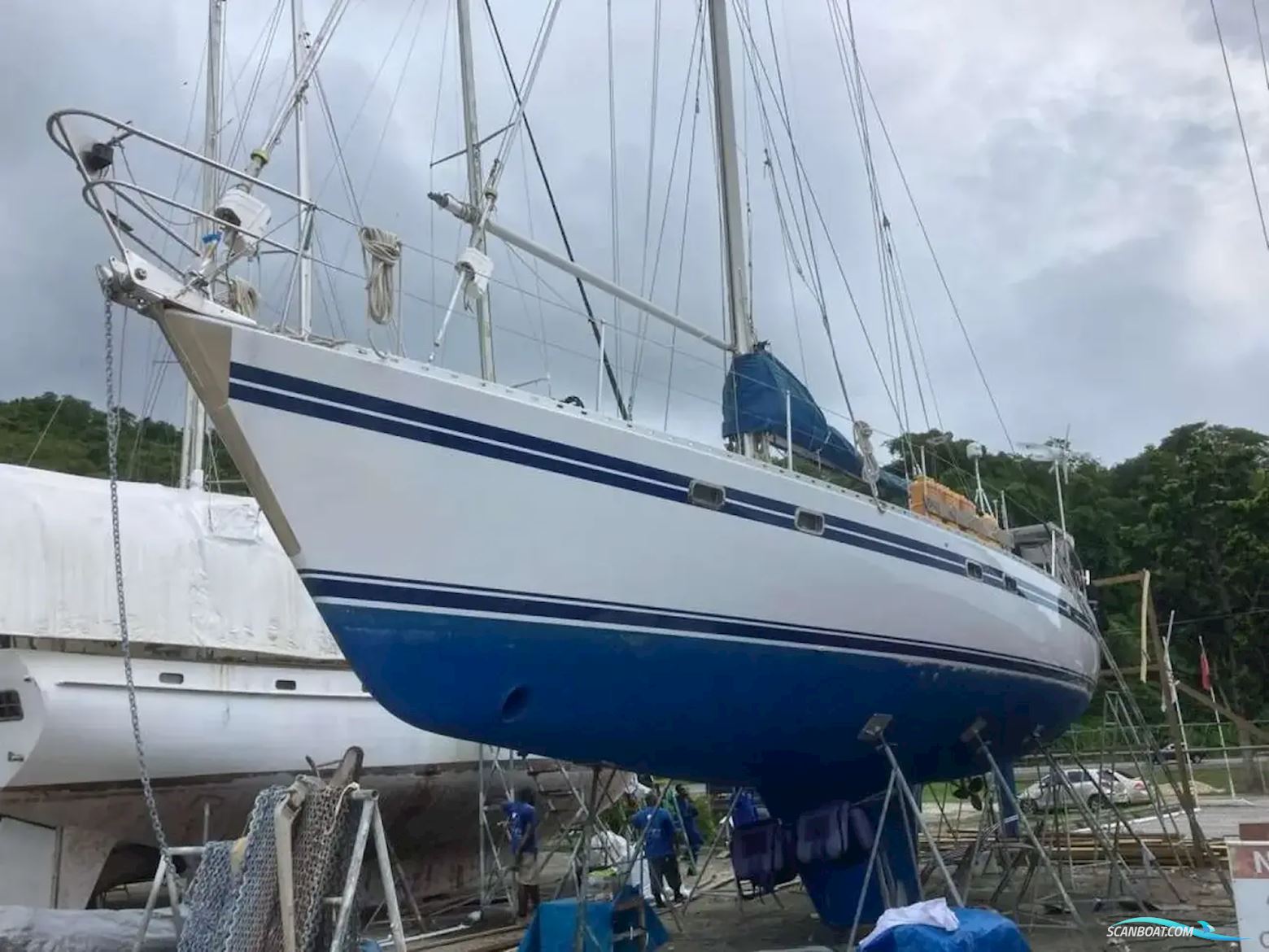 Tayana 55