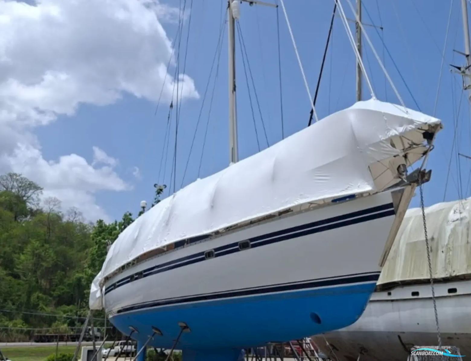 Tayana 55
