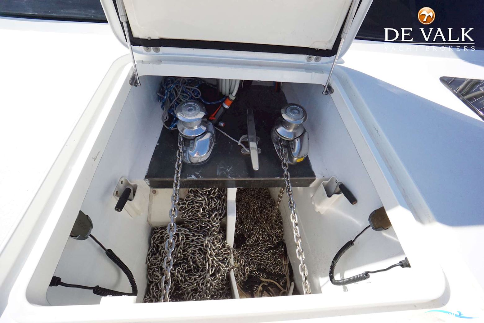 Taylor Davidsen TD547