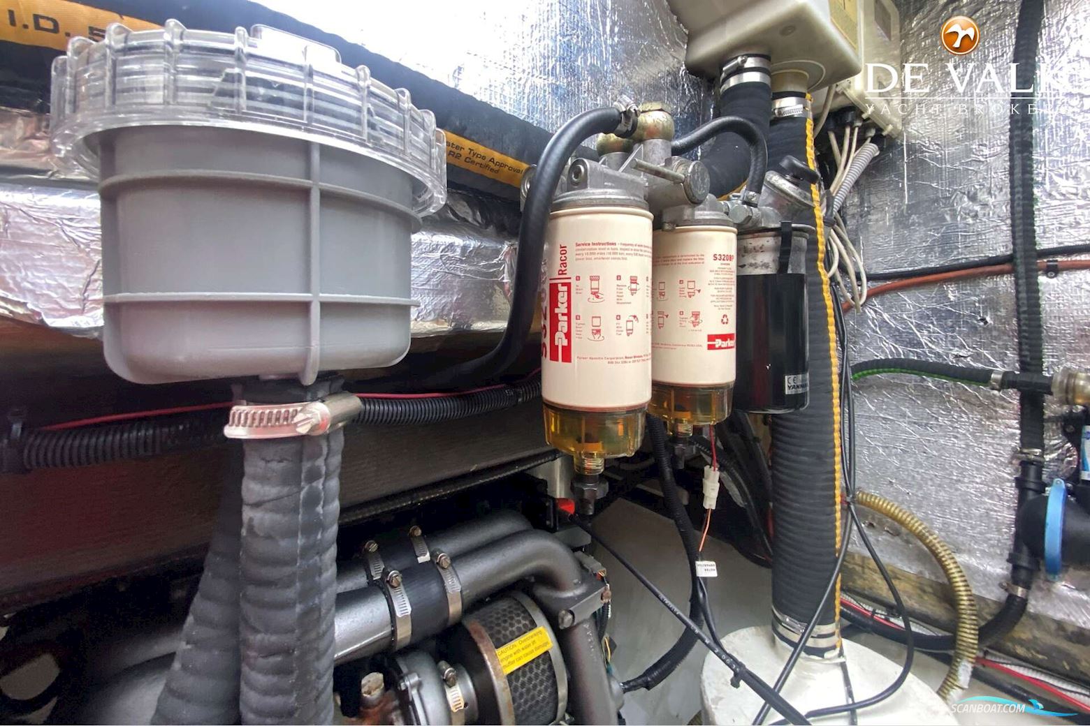 Taylor Davidsen TD547