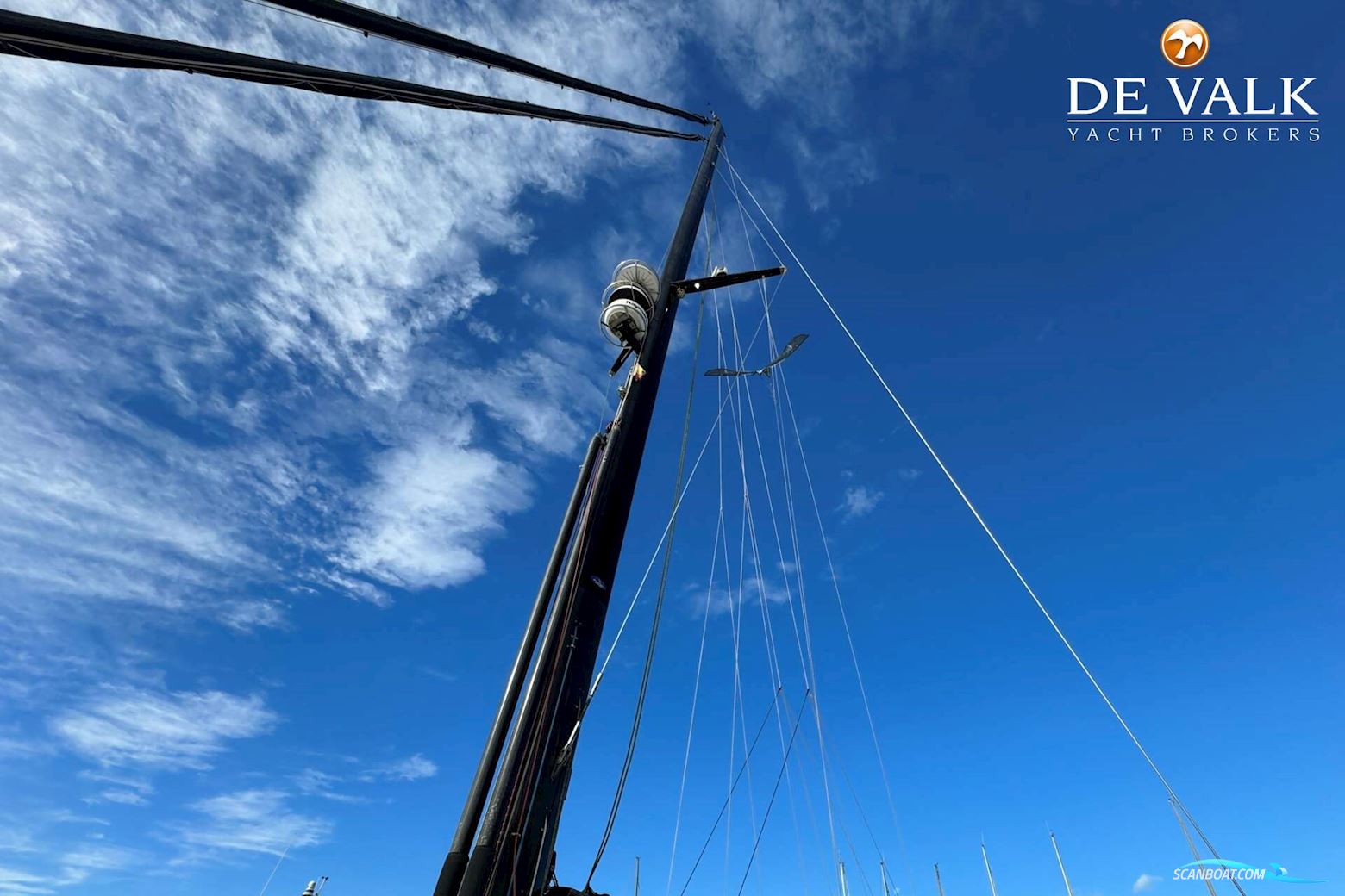 Taylor Davidsen TD547