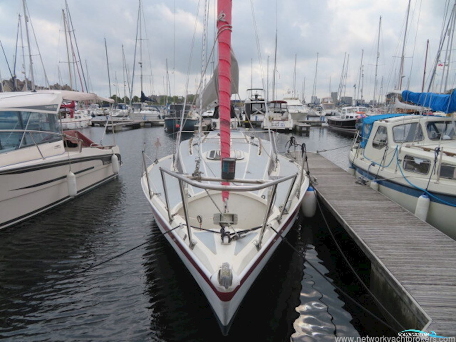 Thames Marine Robber 3E