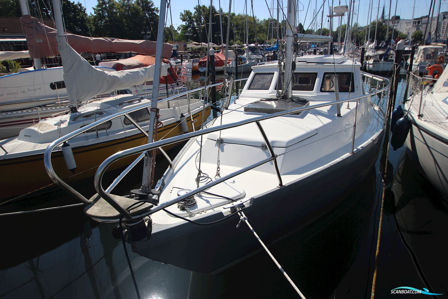 Tornado 31