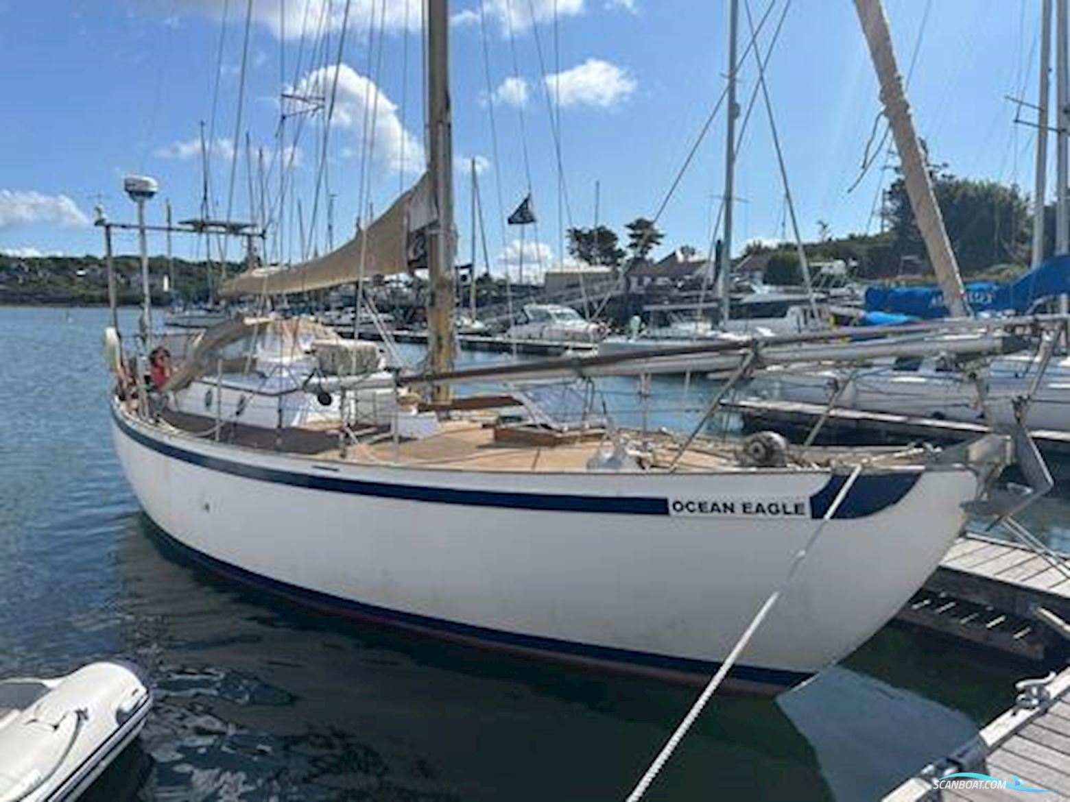 Tradewind 33