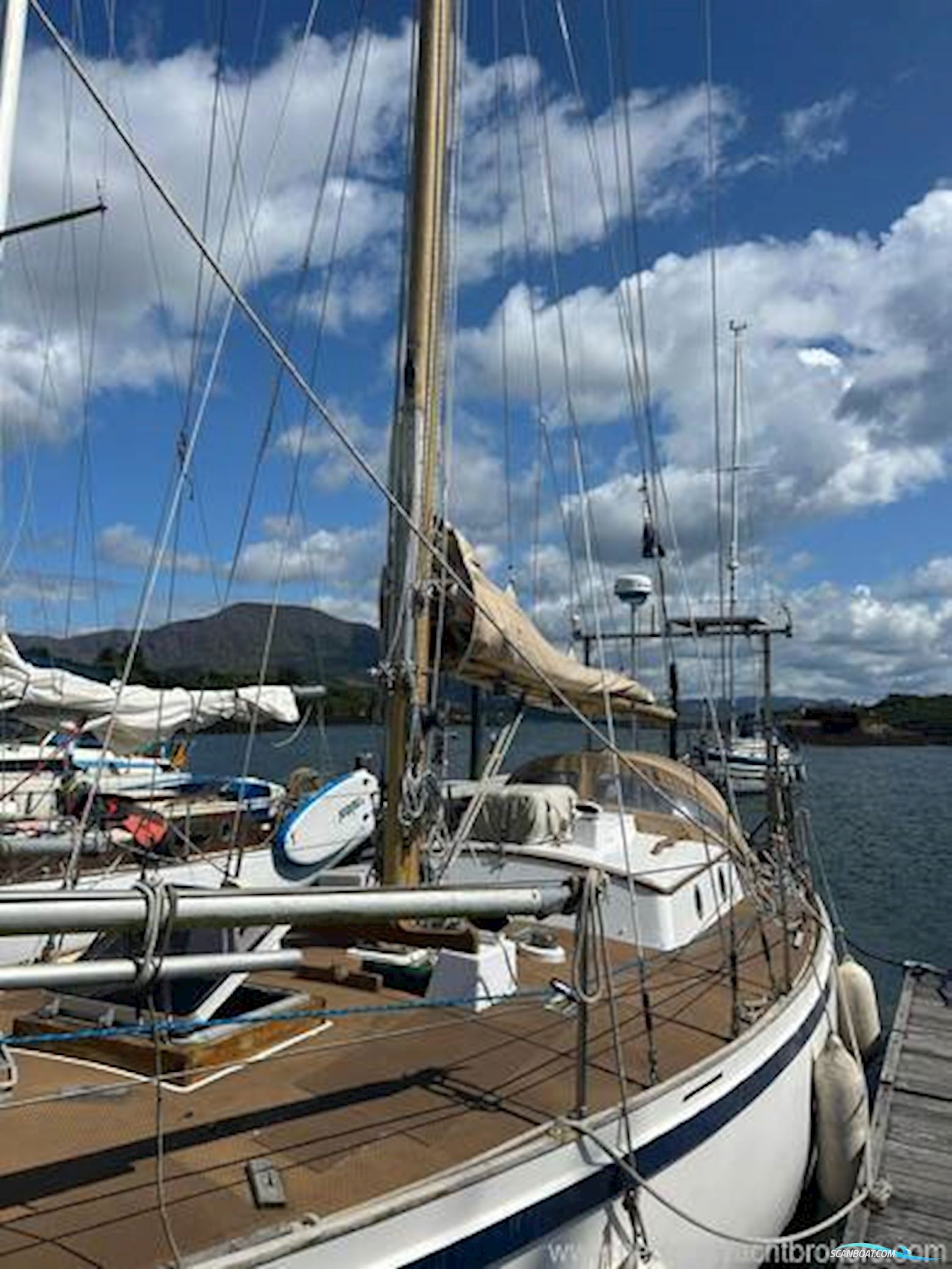 Tradewind 33
