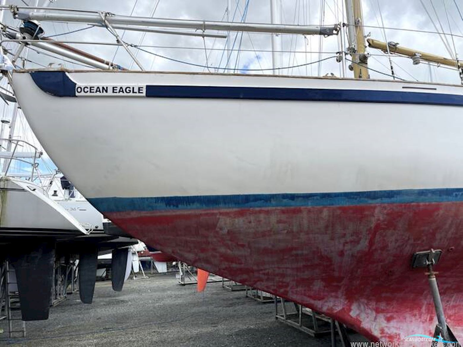 Tradewind 33