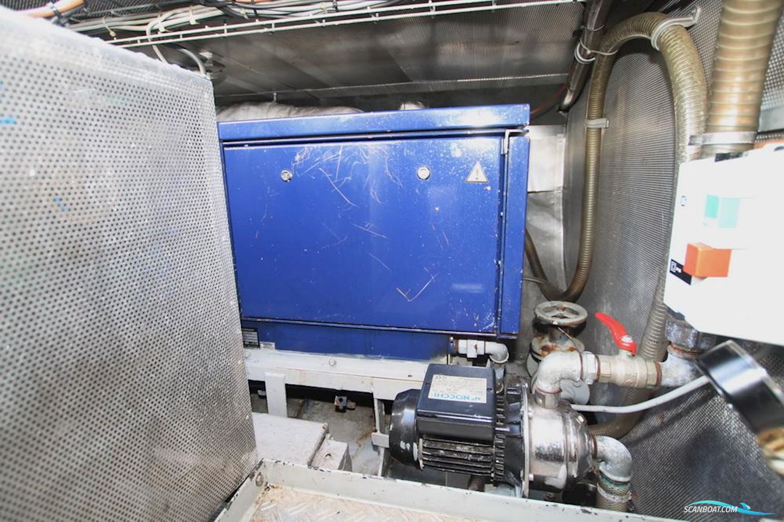 Traditional Platbodem