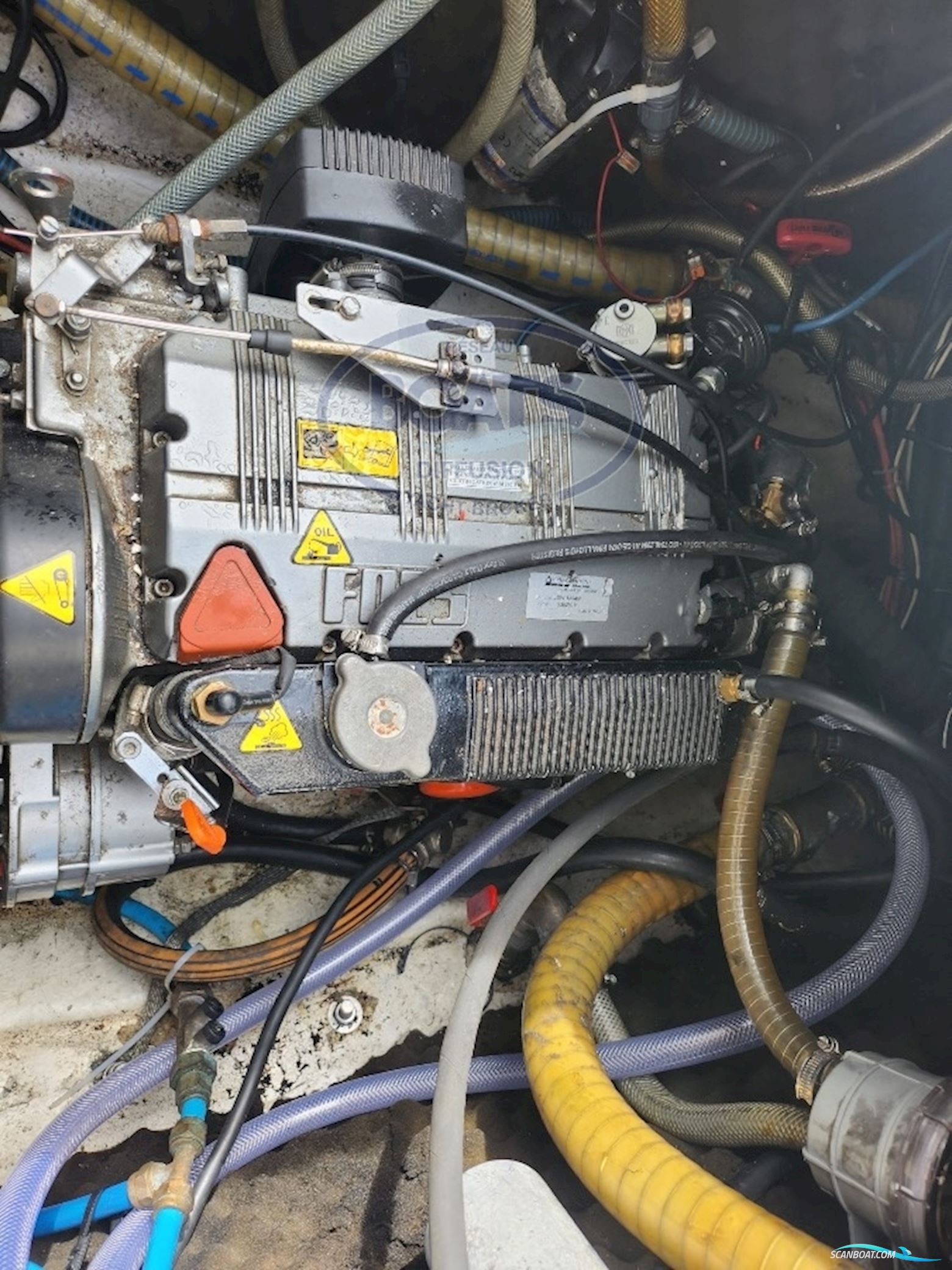 TRIDENT MARINE WARRIOR 35