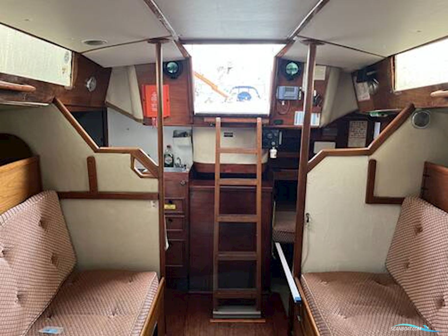 Tyler Boat Co. 31