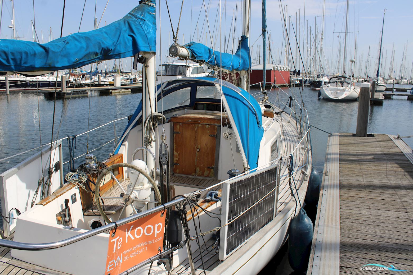 Upham Super Souvereign 35