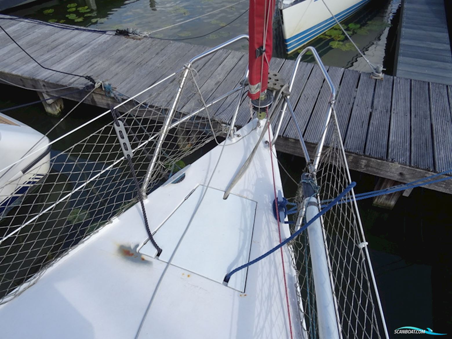 van de Stadt 30 Vita