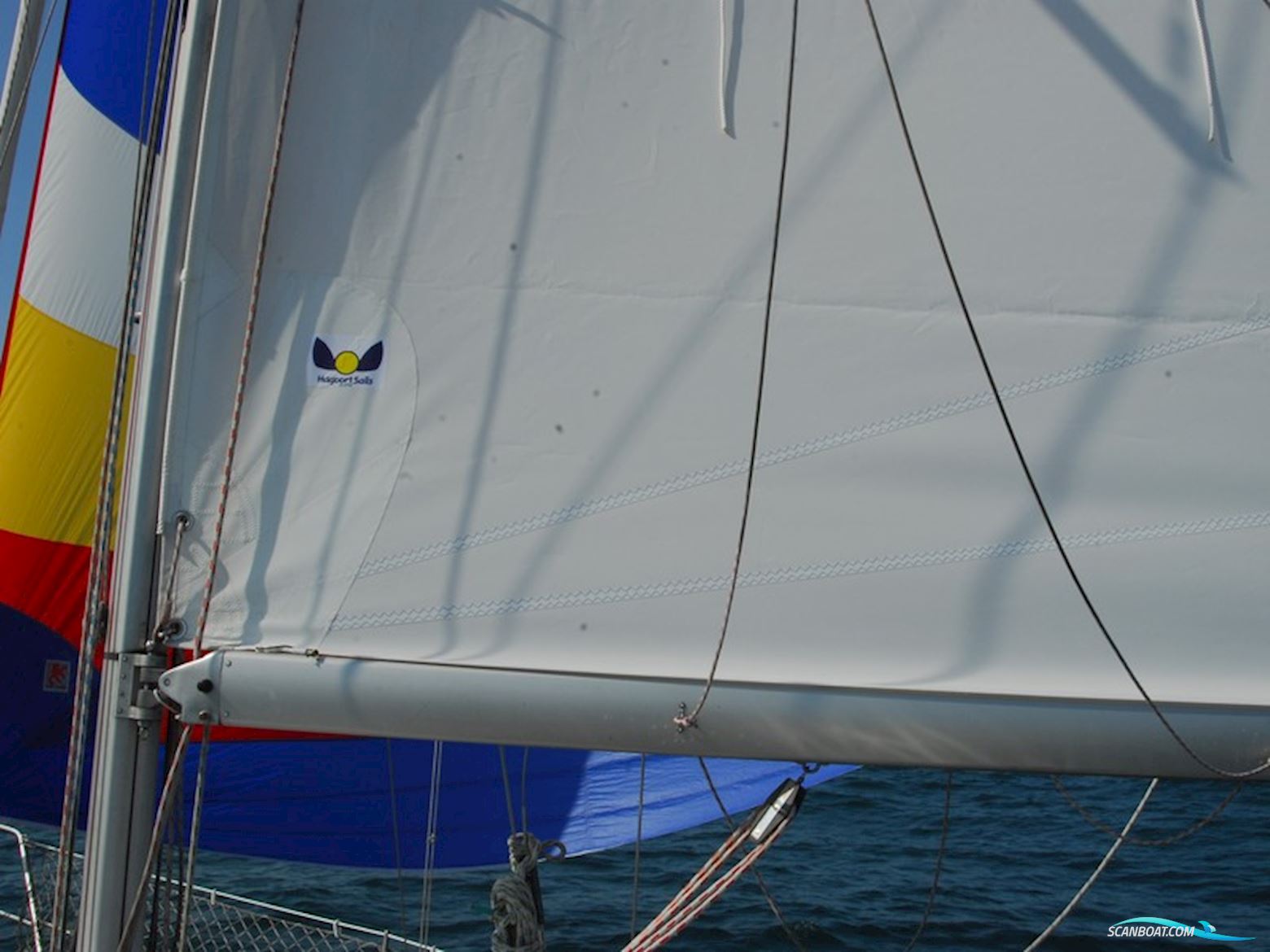 van de Stadt 30 Vita