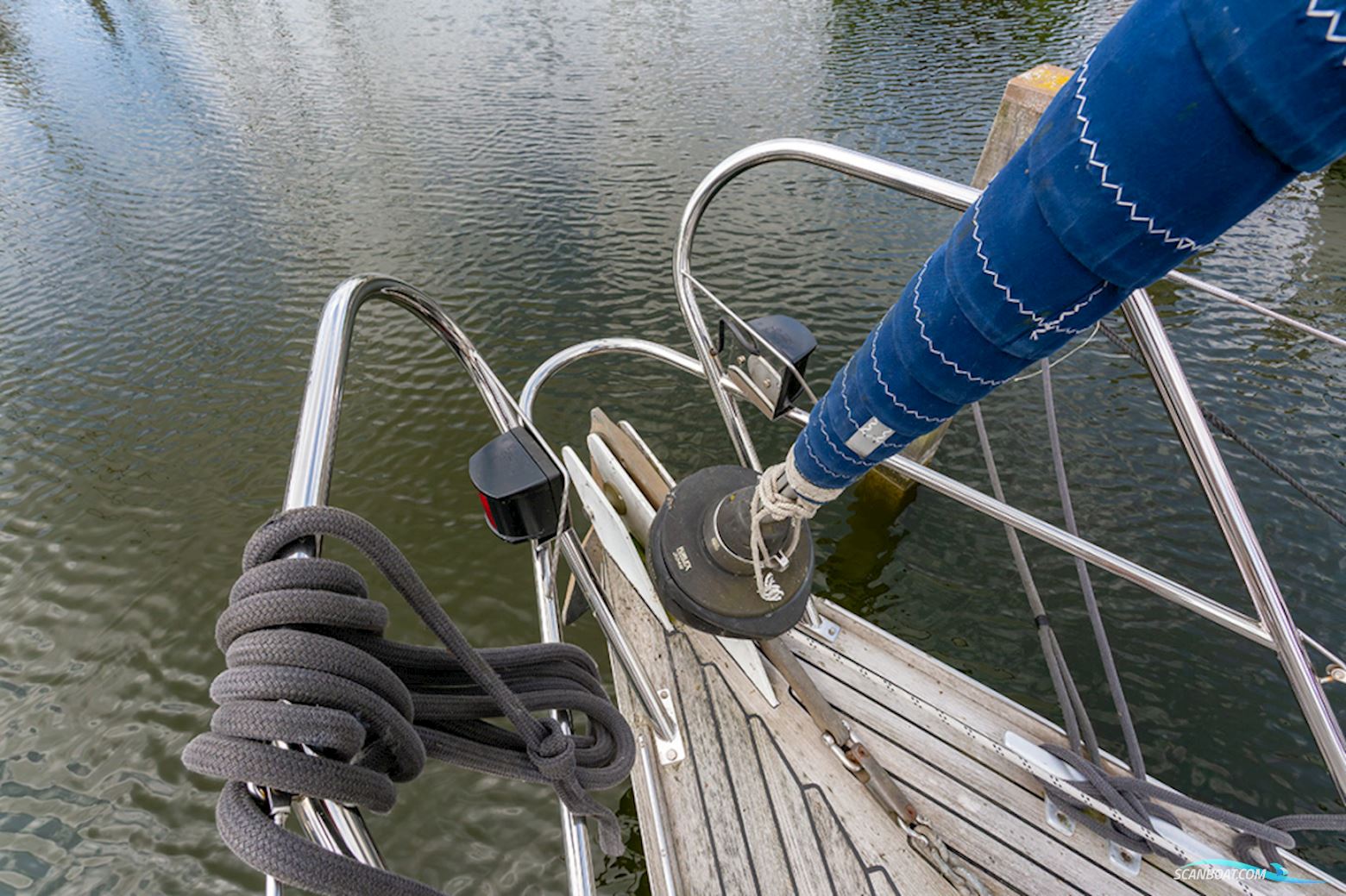 van de Stadt 36 Zeehond