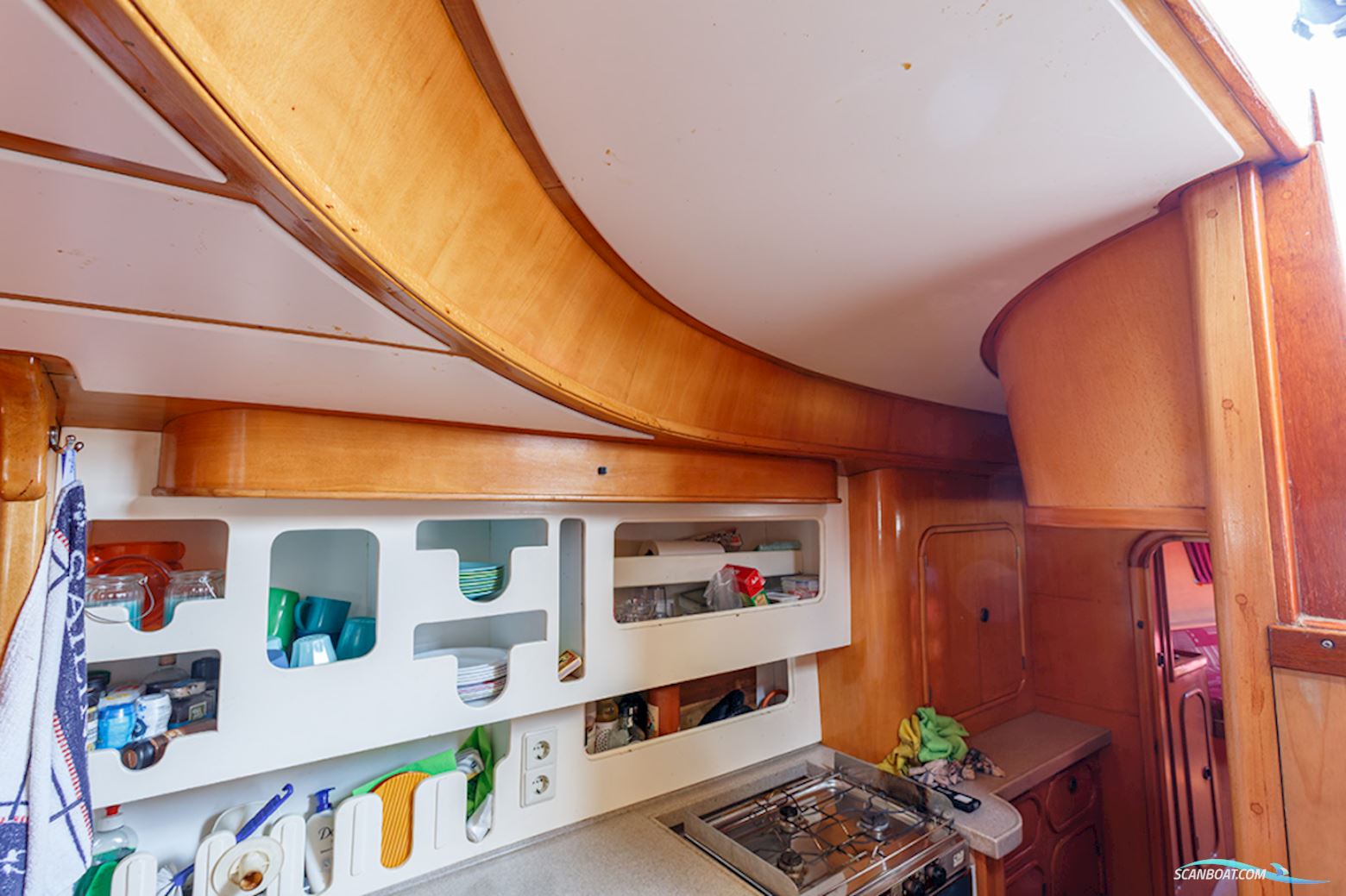 van de Stadt 36 Zeehond