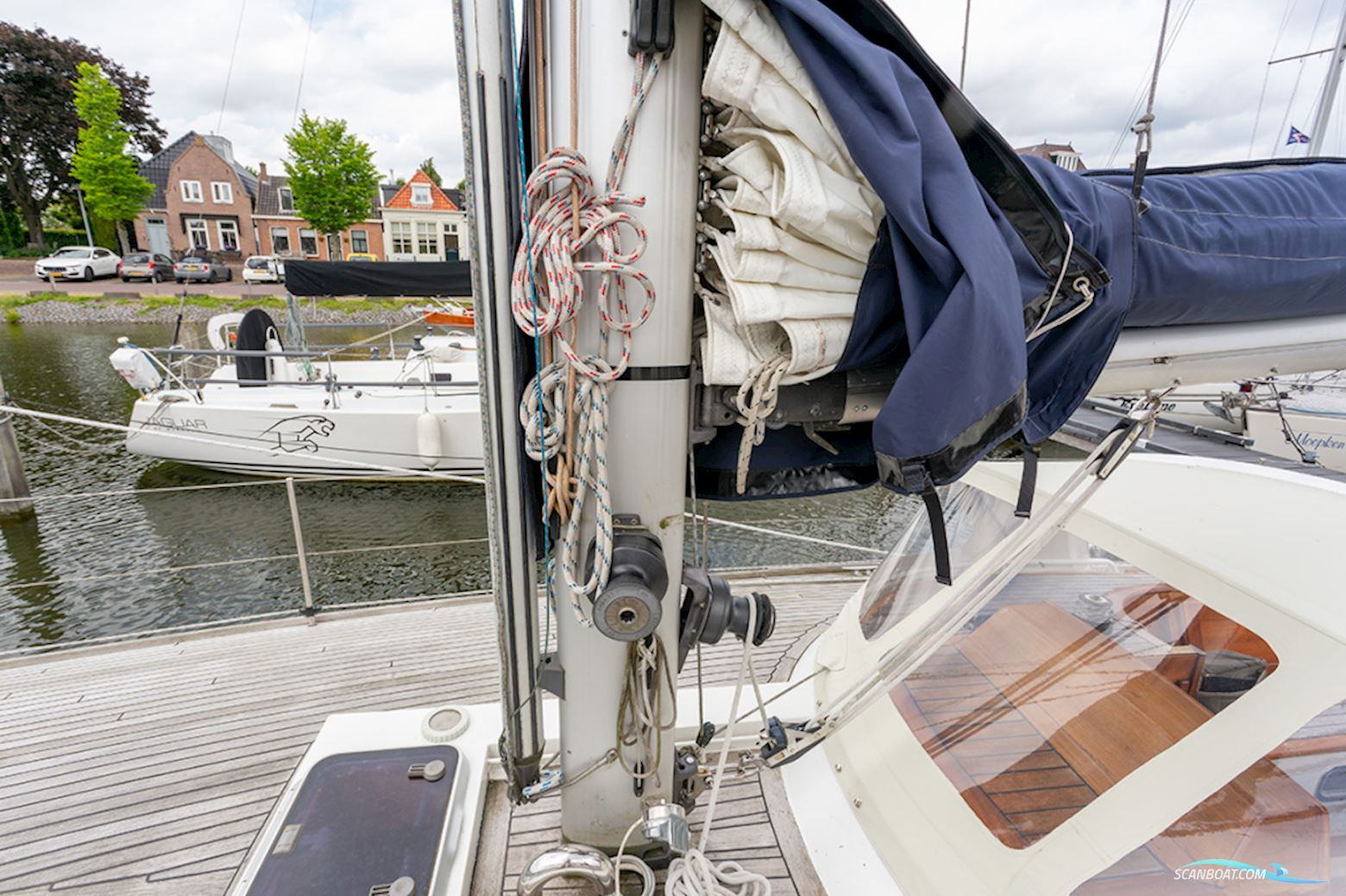 Van de Stadt 36 Zeehond