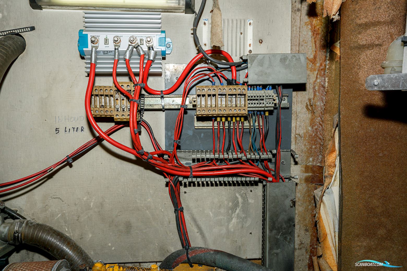 Van de Stadt 36 Zeehond