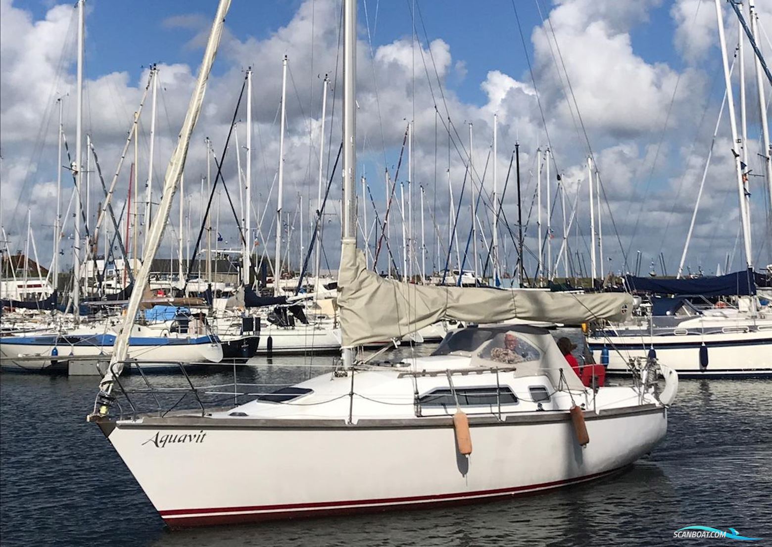 Van De Stadt Vita 30 Segelbåt 2005, med Yanmar motor, Holland