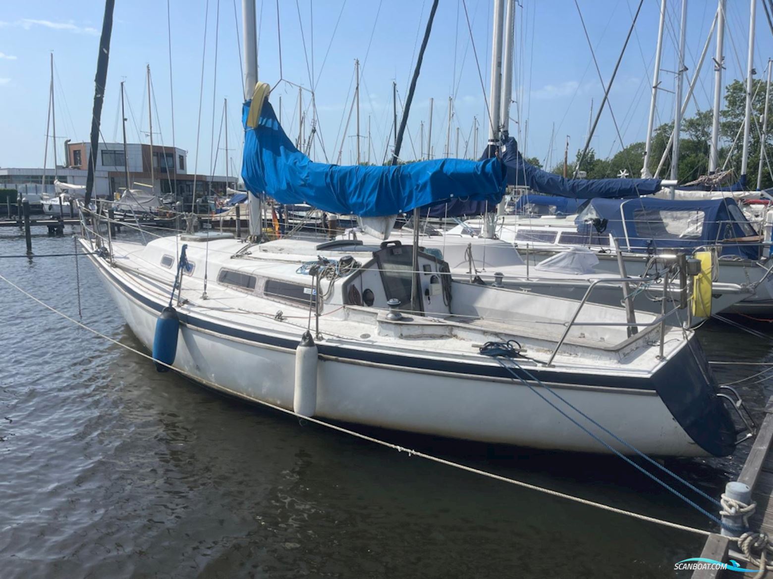 Van Der Stadt Pioneer