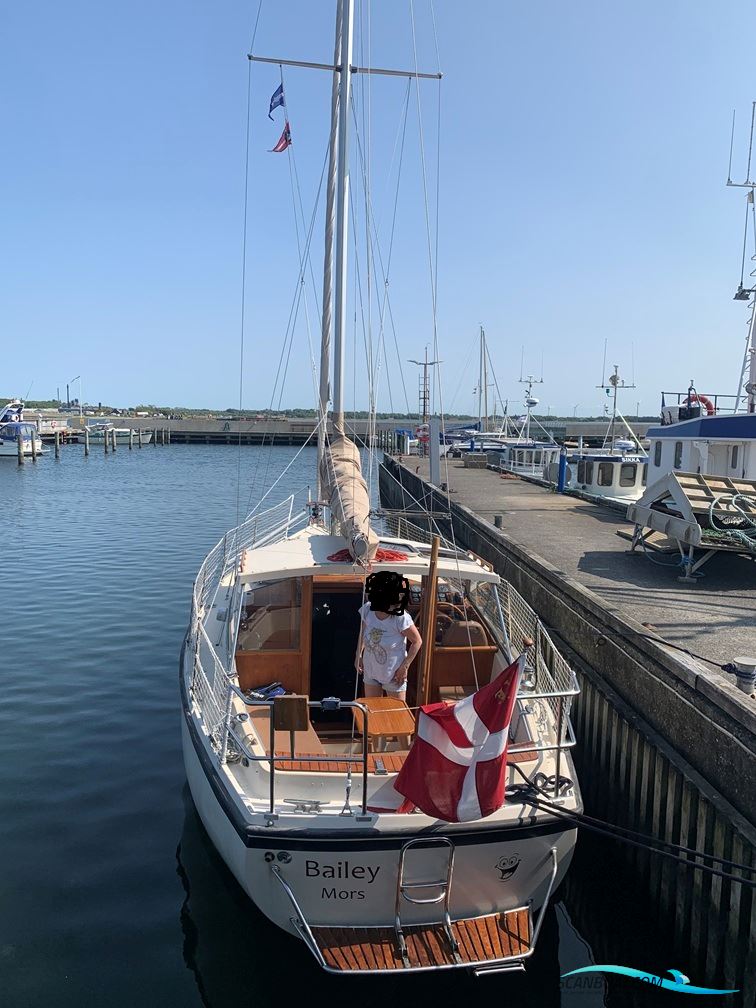 Venus 31 m. bovpropel