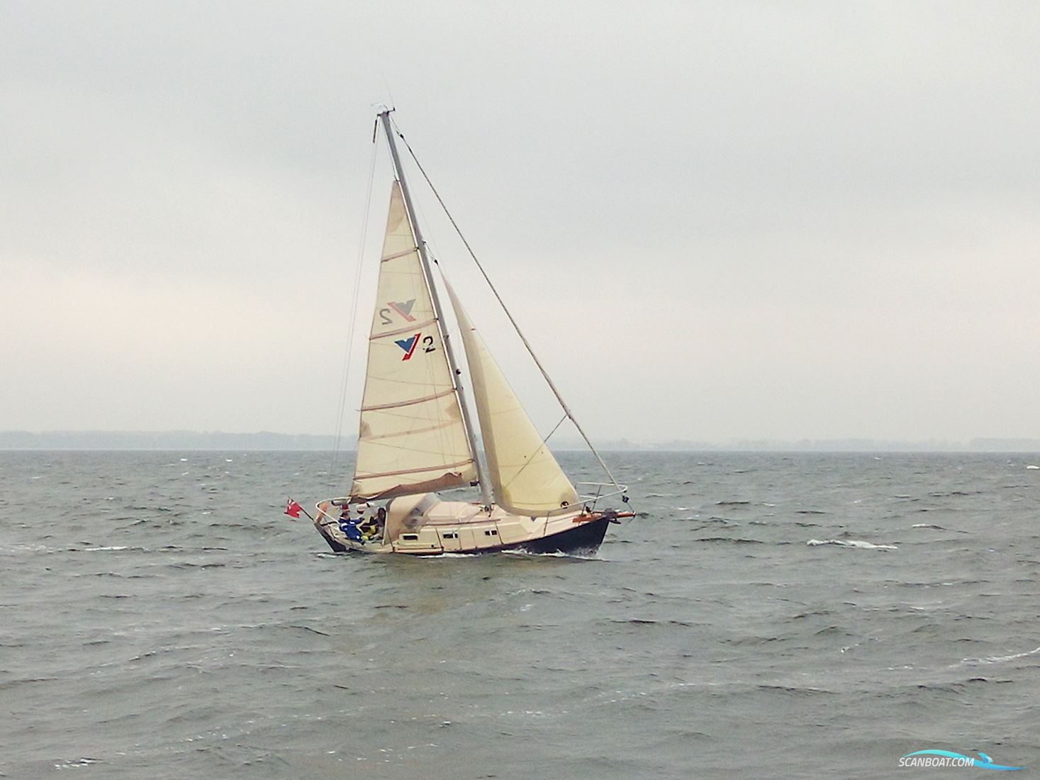Victoria 800