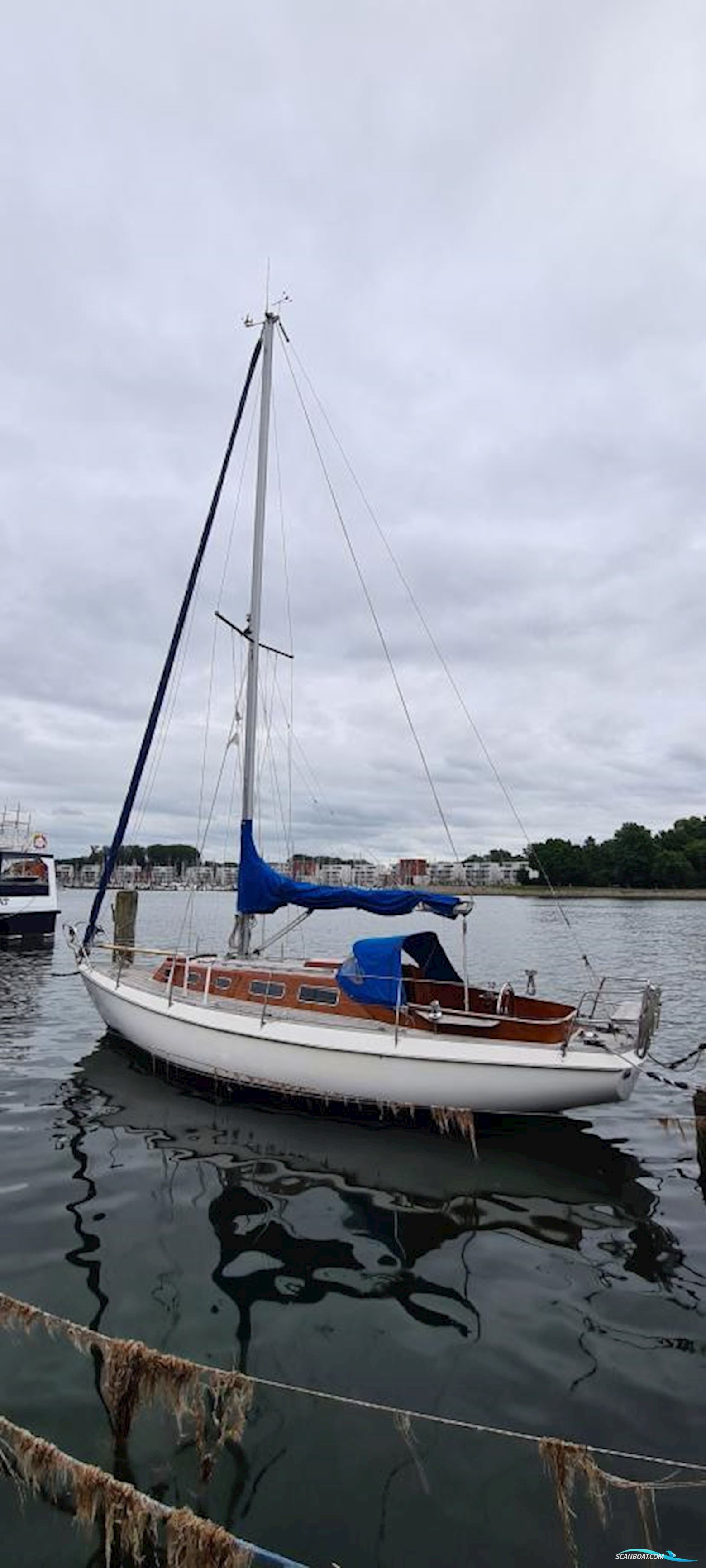 Vindö 40