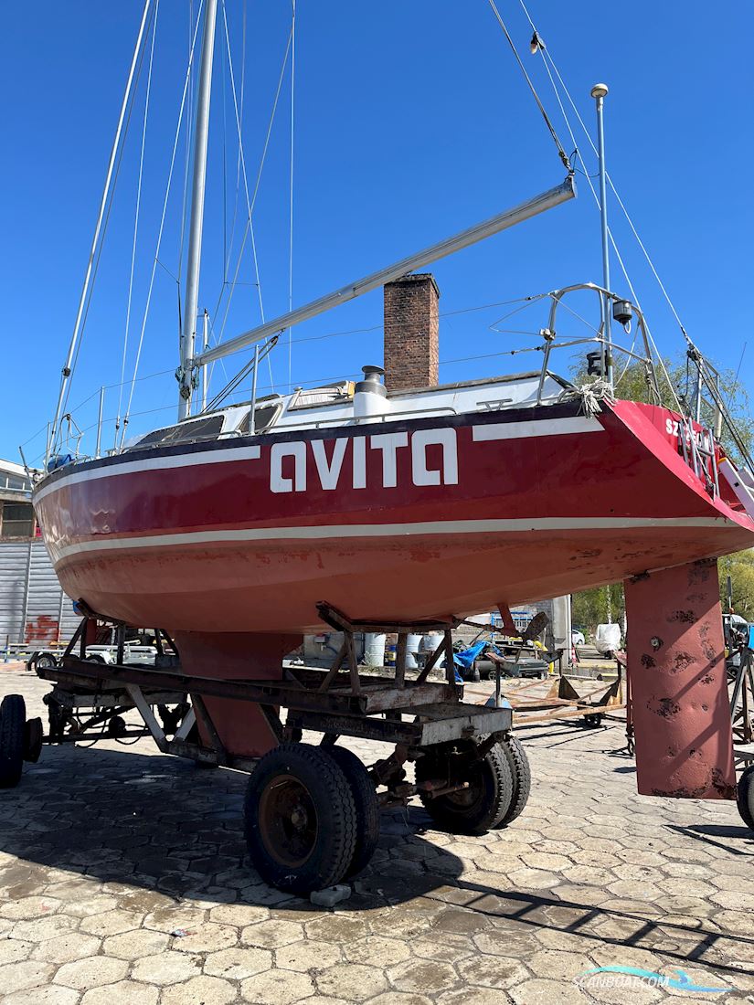 Vita 30