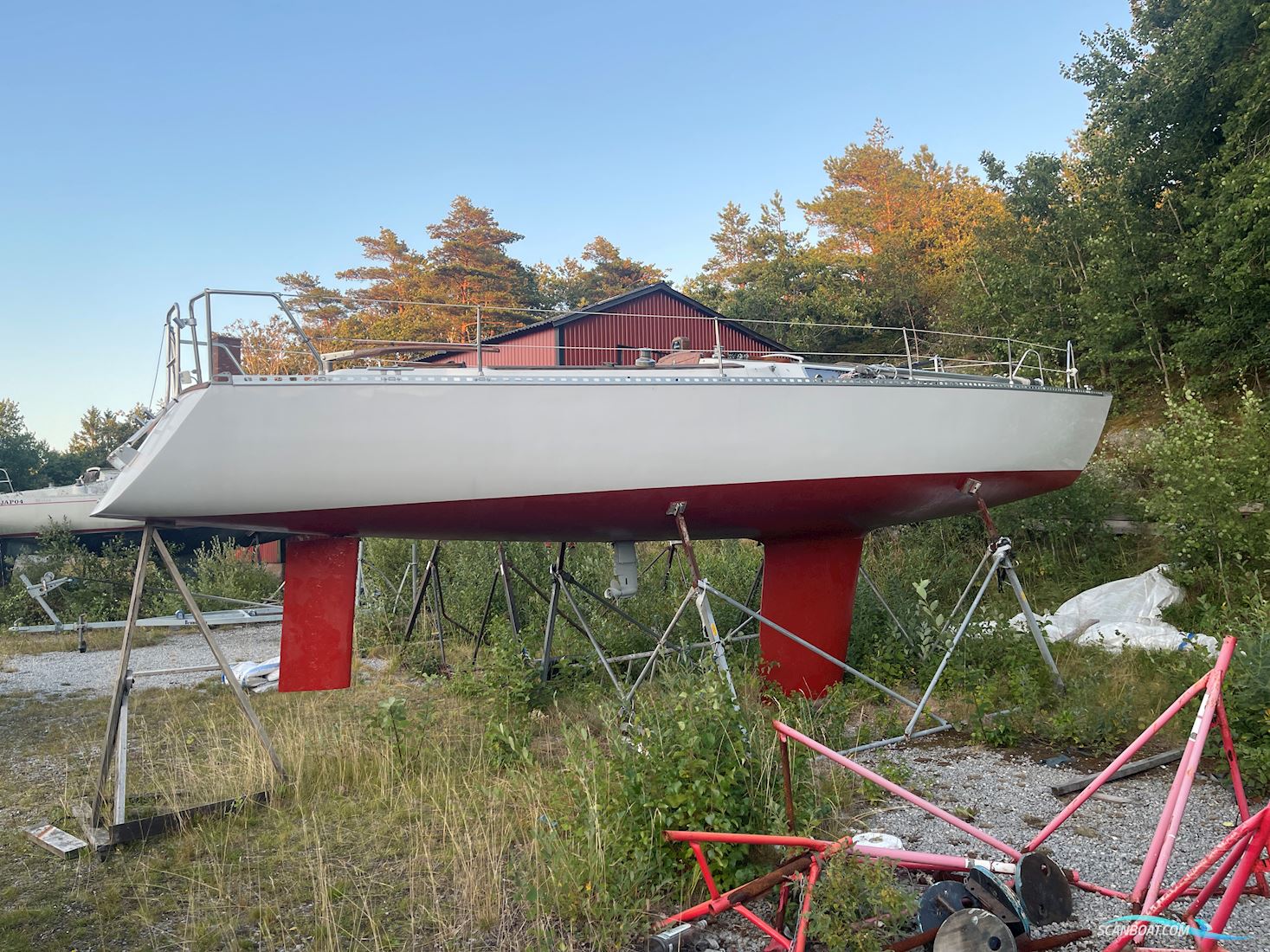 Wasa 30