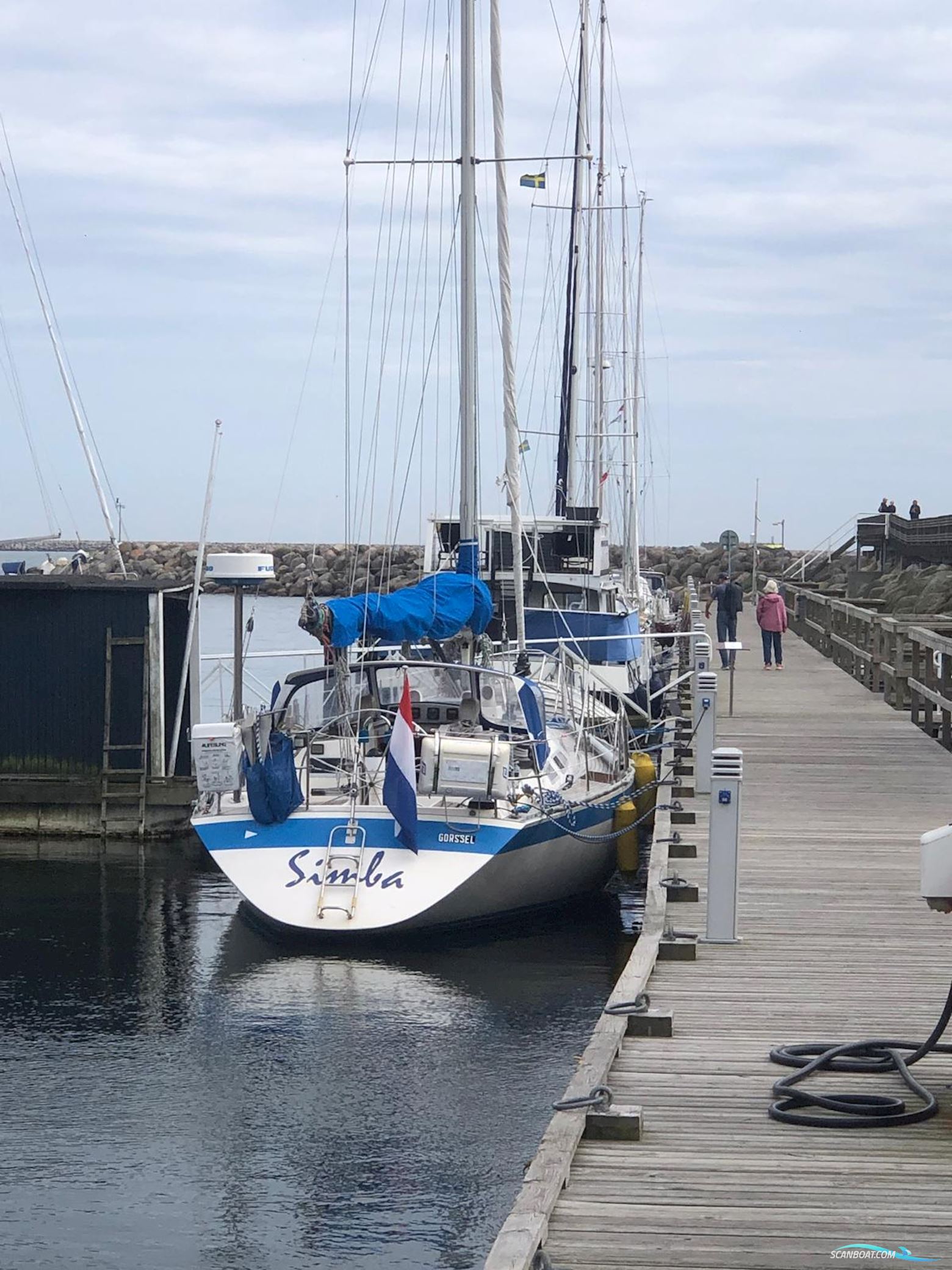 Wauquiez Centurion 38