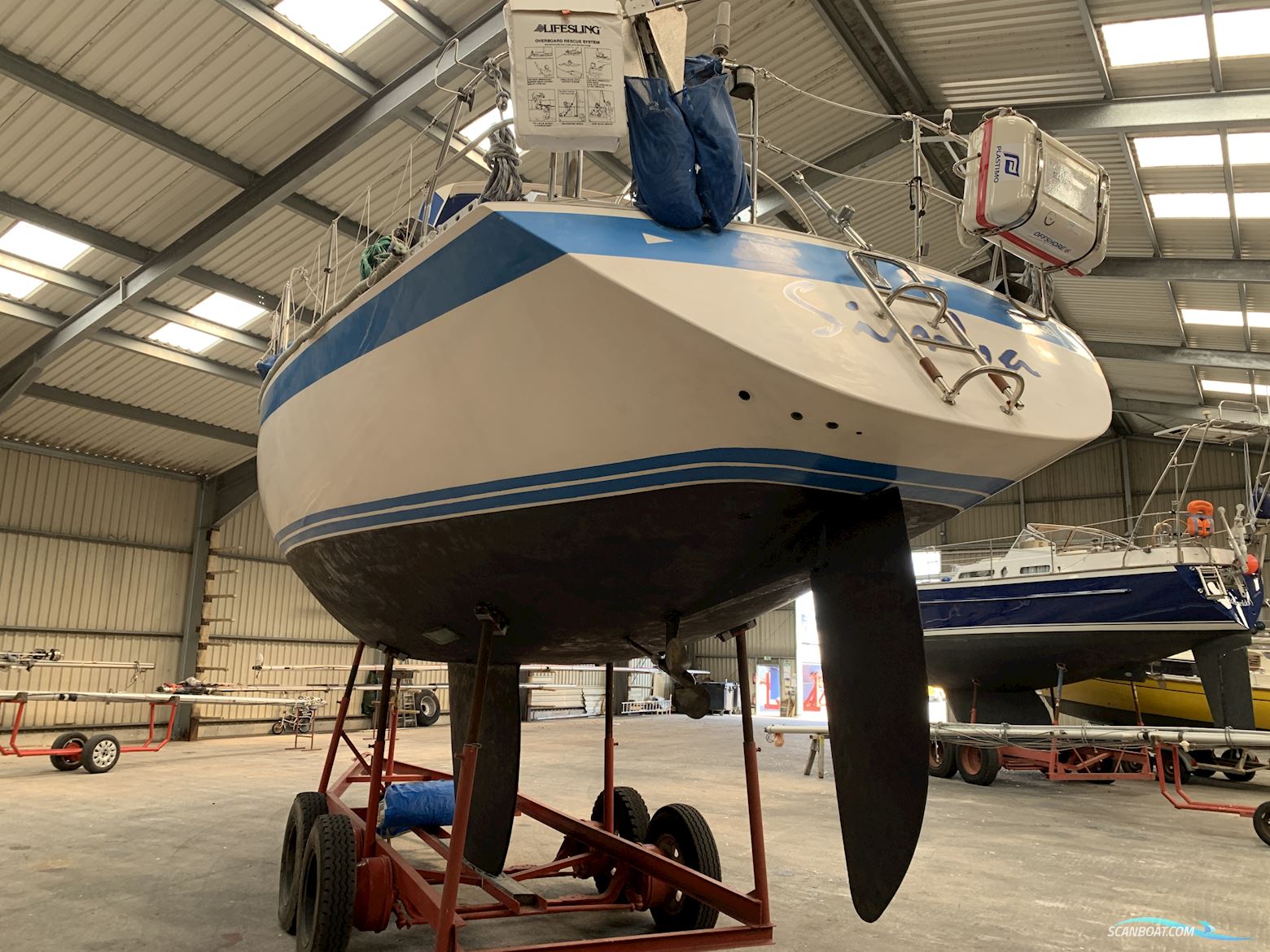 Wauquiez Centurion 38