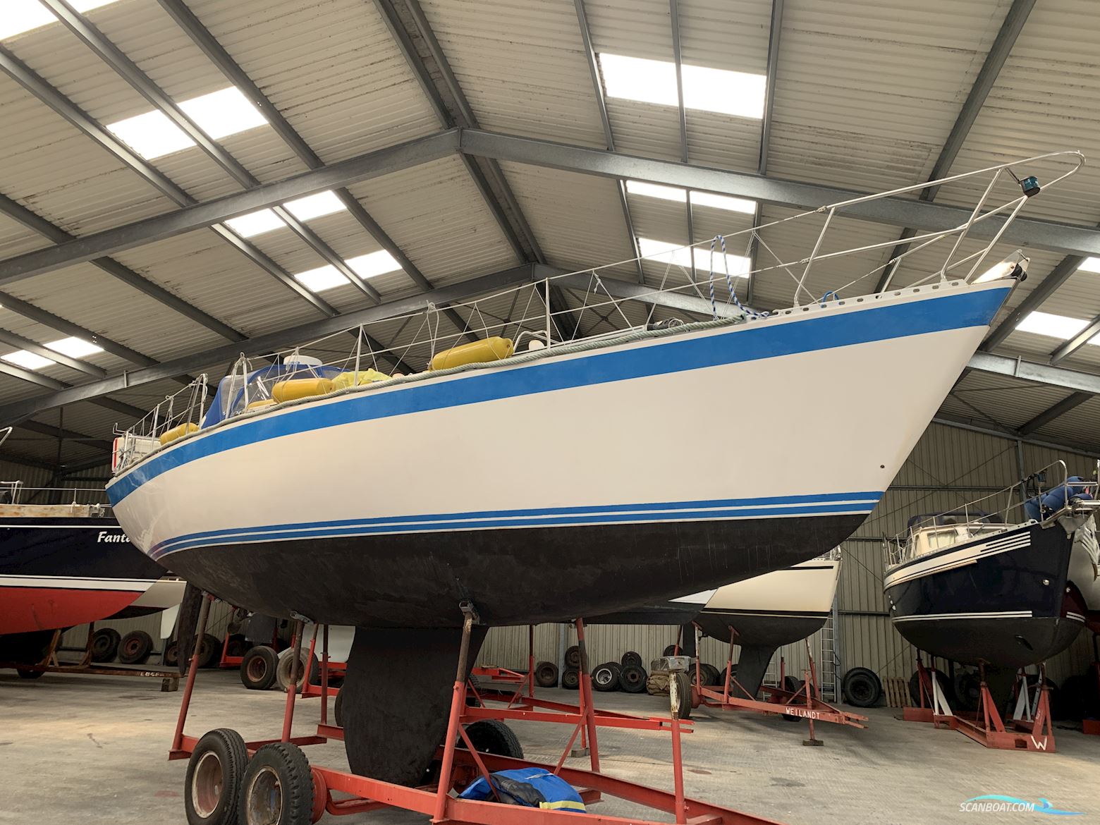 Wauquiez Centurion 38