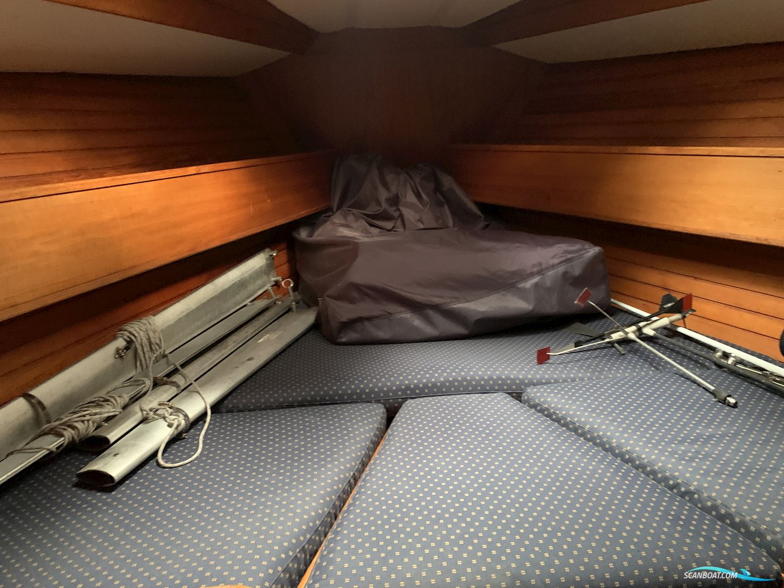 Wauquiez Centurion 38