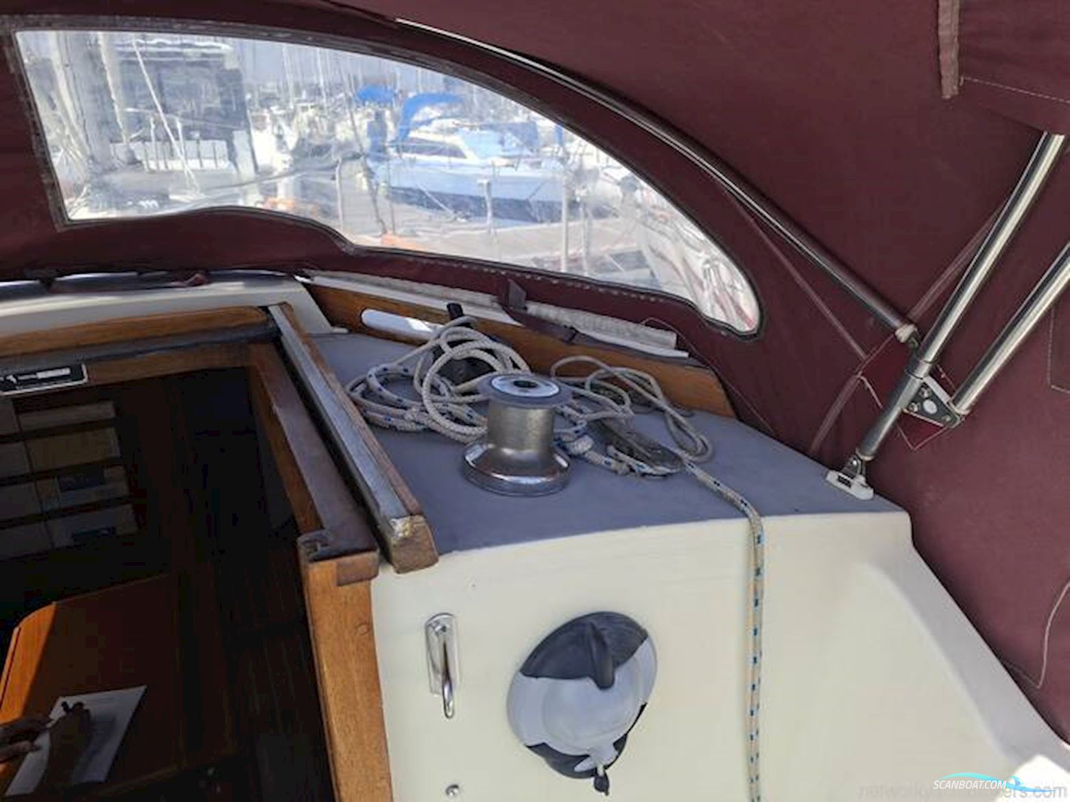 Westerly Griffon