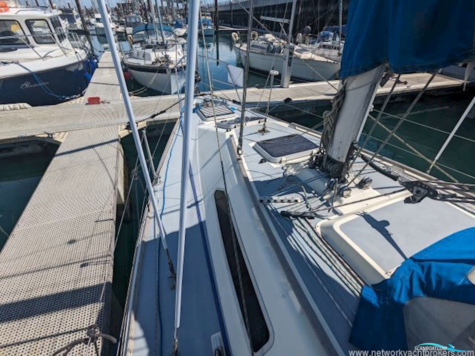 Westerly Tempest