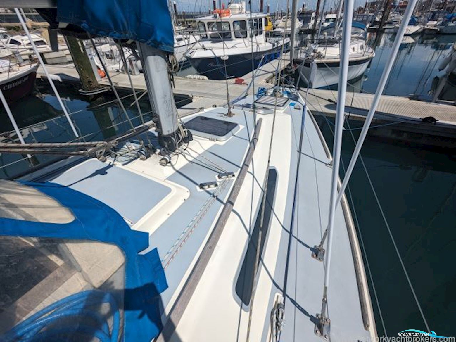 Westerly Tempest