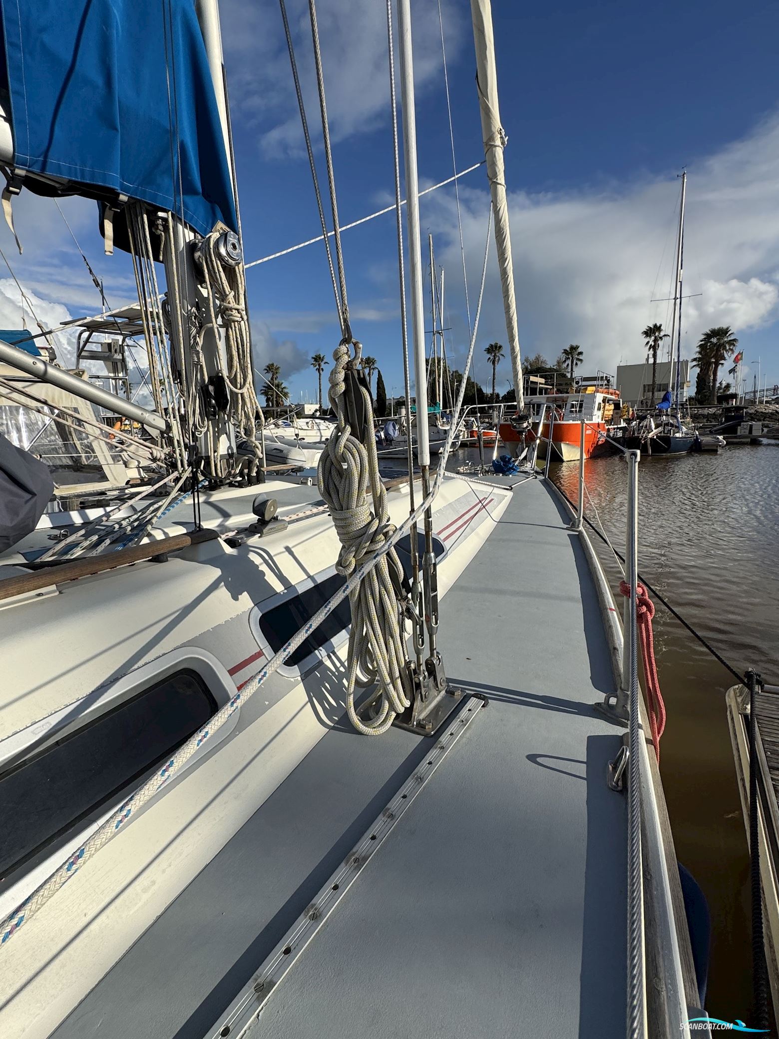 Westerly Typhoon 37 – RESERVED